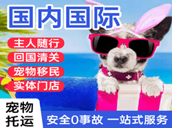 吐鲁番交河航空快递国际宠物托运 【国